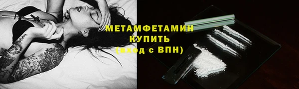 прущие крисы Горняк