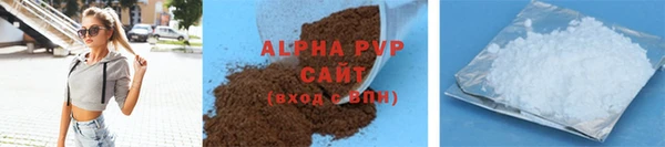 прущие крисы Горняк