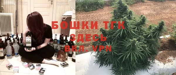 МДПВ Горно-Алтайск
