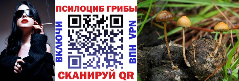 Псилоцибиновые грибы мицелий  Кемь 